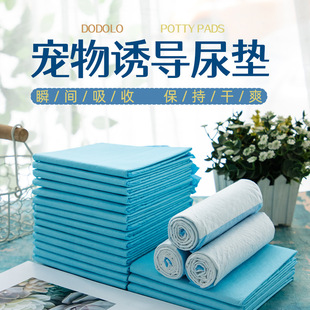 狗狗尿片泰迪小狗吸水尿垫年尿不湿金毛大号中厚除臭尿布宠物用品