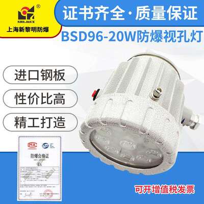 防爆视孔灯LED防爆视镜灯BSD96-L20W化学反应容器釜照明灯