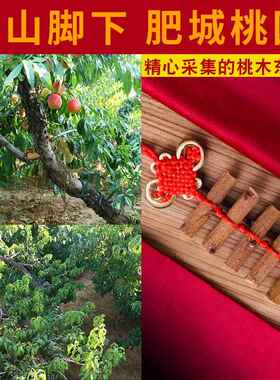 真桃木枝挂件正宗肥城天然东南枝随身婴儿童宝宝中国结客厅门对门