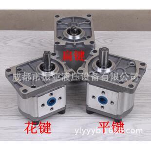 306齿轮油泵 CBN 液压润滑泵 E306齿轮泵 振亚cbn