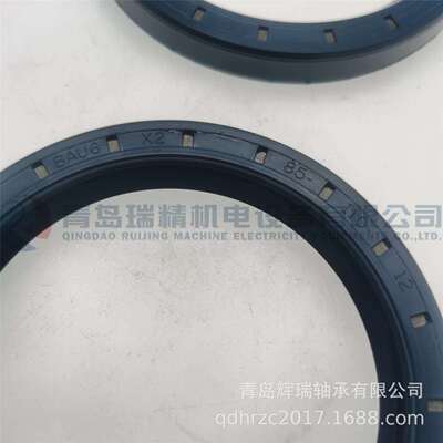 CFW 密封件 BAU6X2 85X110X12 进口油封 85mm 110mm 12mm