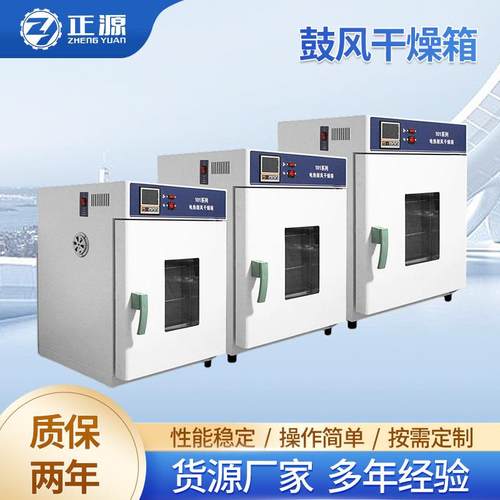 电热恒温鼓风干燥箱小型实验室烘箱烘干燥箱高温鼓风烤箱现货供应