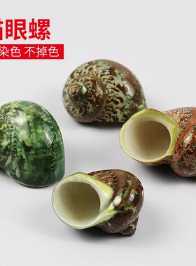 寄居蟹替换壳卷贝鱼海螺贝壳绿色猫眼螺红色鱼缸造景水族装饰摆件