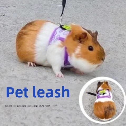 天竺鼠绳龙猫专用马具刺猬小猫兔绳天竺鼠郊游牵引绳宠物马具