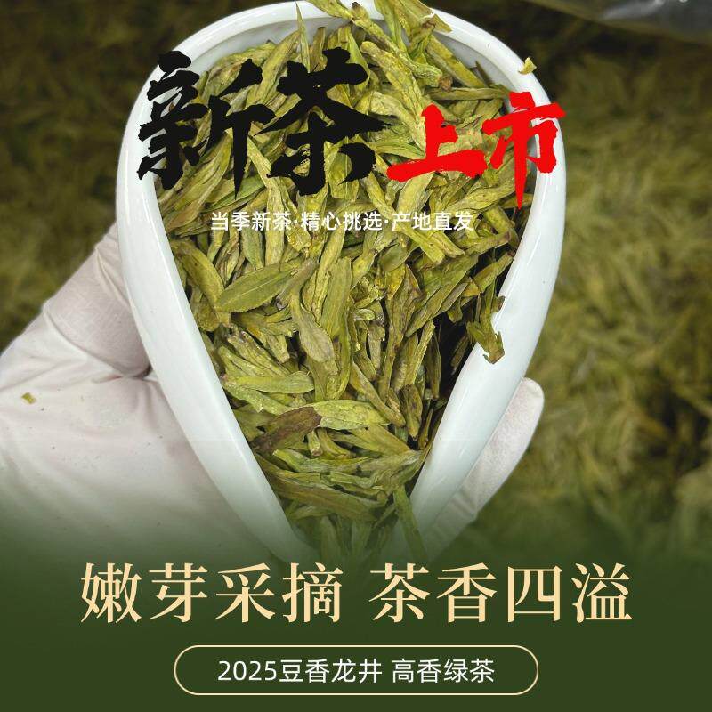 2025新茶春茶豆香龙井茶绿茶 蒙顶山早春9号原料高香龙井一芽一叶