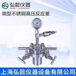 置磁力搅拌 小型简易不锈钢高压反应釜氢化高压反应釜晶化釜防爆装