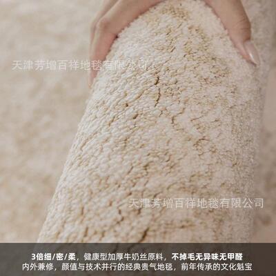 牛奶丝半隐大宅加厚地毯现代极简风轻奢高级客厅纯色法式中古卧室