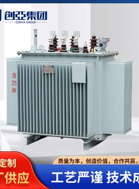 变压器系列S1113-10KV油浸式变压器能效等级齐全配电变压器现货