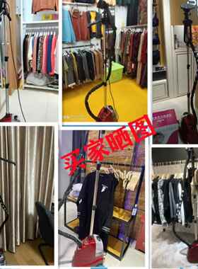 明鑫天宇Cbd立式蒸汽烫衣机电熨斗双缸大功率2180W服装专卖店商用