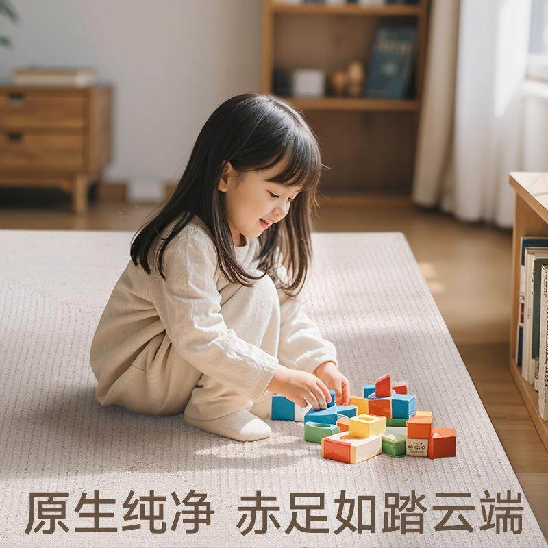 简客轻奢棉纱机织厅地毯大面积茶几BQB胶茶室家用卧室床边垫无地