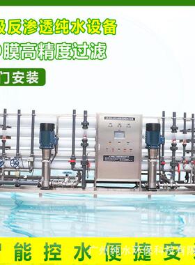 38T双级反渗透纯水处理设备大型日化食品工厂纯净水设备