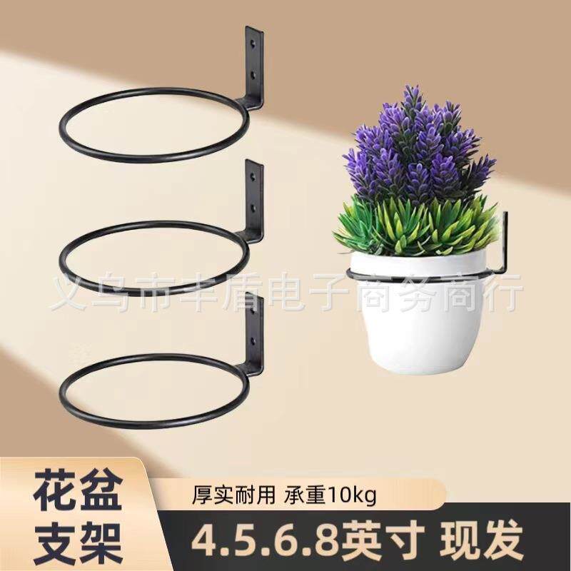 花卉植物支架环壁挂式,植物墙壁挂环,金属植物支架壁挂式花盆挂钩