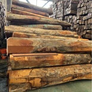 零售黄杨木进口黄杨原木木材加工黄杨木板材工艺品黄杨木棒