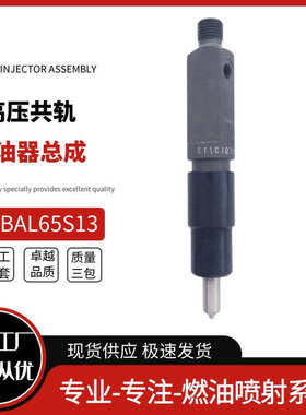 厂家直销KBAL65S13 喷油器 适用道依茨发动机 F3L912 F4L912 2233