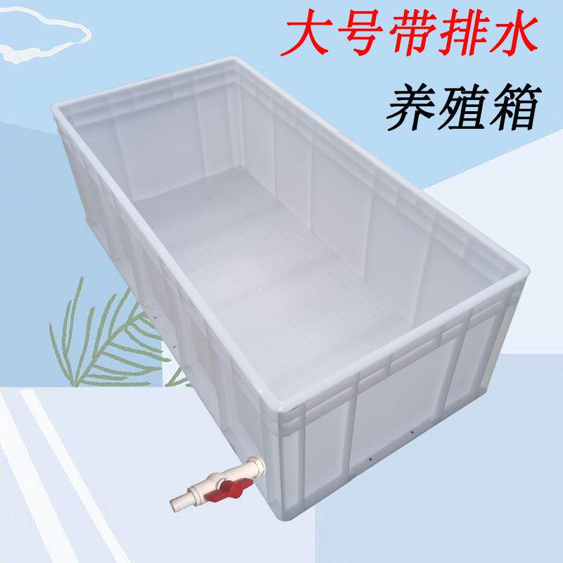 龟超大号养殖箱塑料乌龟龟箱长方形周转箱水族箱养龟养鱼鱼箱子