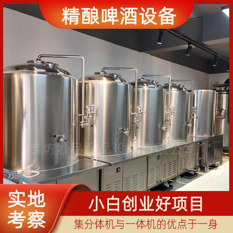 精酿啤酒屋啤酒设备一体机商用啤酒发酵罐500升糖化发酵罐