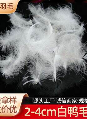 【厂家直销】2-4cm水洗白鸭毛片质量保证羽绒沙发靠垫抱枕填充