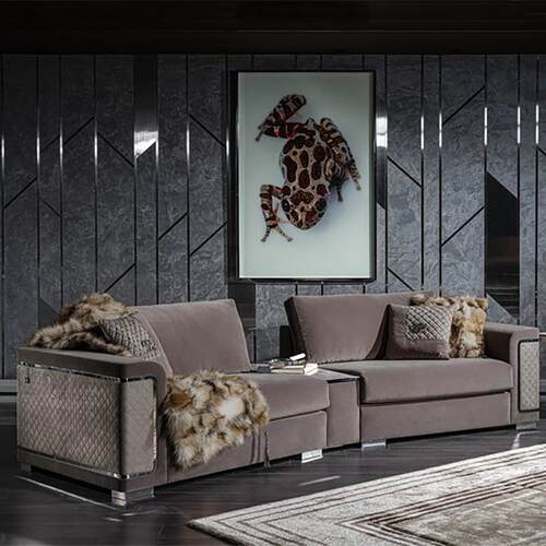 高端沙发豪华客厅沙发组合沙发椅布艺弧形沙发Light luxury sofa