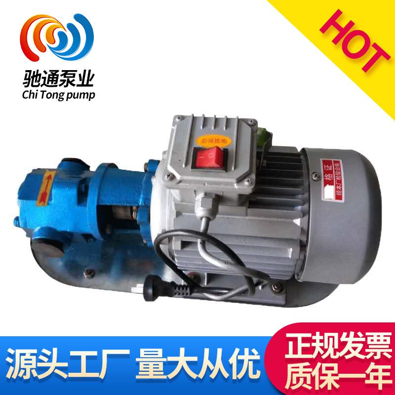厂家供应 小型油泵 WCB手提式齿轮泵 wcb微型齿轮油泵 电动输油泵