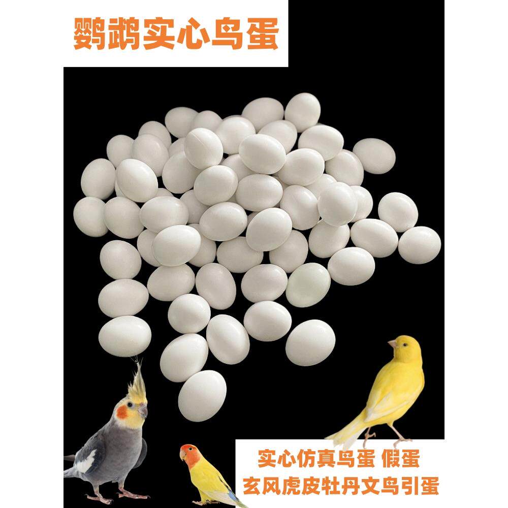 鹦鹉假蛋鸟类鹦鹉仿真实心蛋文鸟虎皮牡丹玄凤鸟蛋引蛋 10个包邮