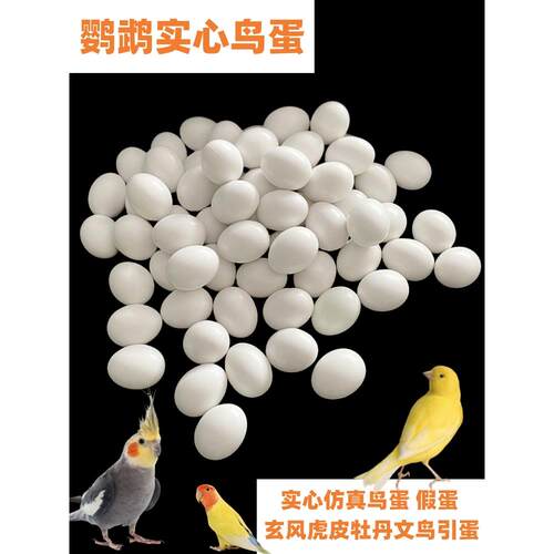 鹦鹉假蛋鸟类鹦鹉仿真实心蛋文鸟虎皮牡丹玄凤鸟蛋引蛋 10个包邮