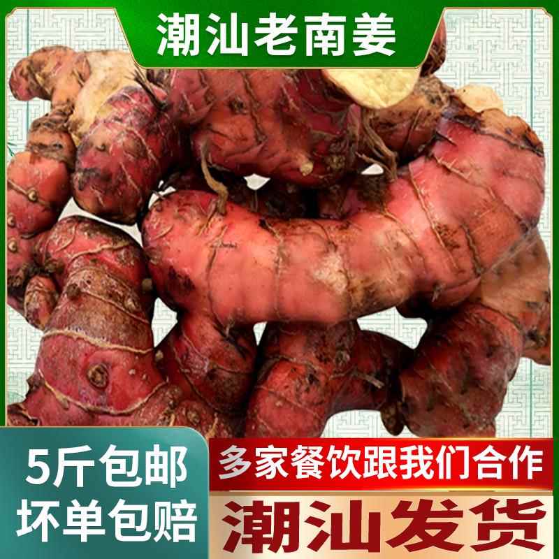 潮汕南姜 新鲜包邮 餐饮卤鹅猪脚饭卤菜牛羊肉火锅去膻提鲜调料品