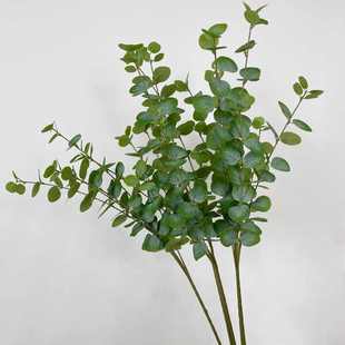 饰仿真植物批发绿植软装 仿真单枝5叉尤加利金钱叶婚庆家居装 布置