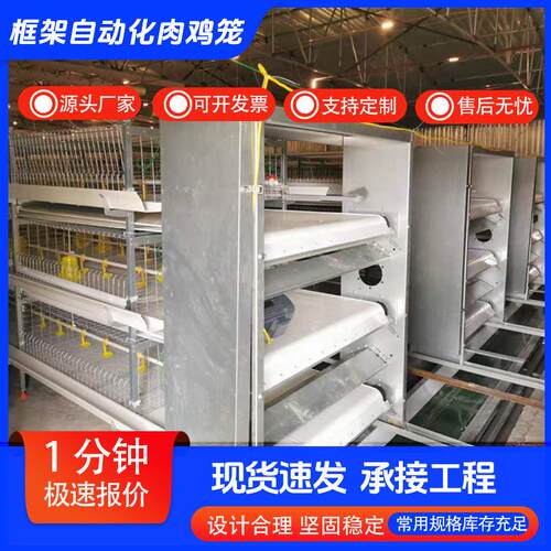框架自动化肉鸡笼多层阶梯式蛋鸡笼加粗养殖笼热镀锌鸡笼养殖设备