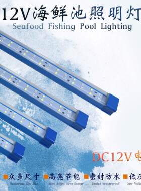 12V海鲜池鱼缸灯LED灯防水鱼缸LED照明灯 需外接变压器电源方可用