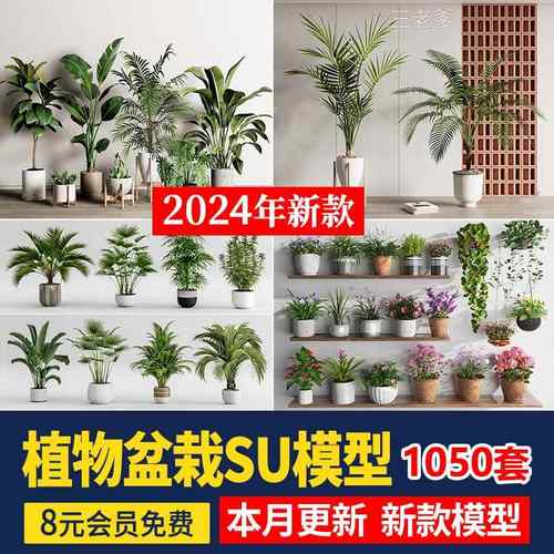 绿植植物花盆盆栽盆景松树单体草图大师SU模型室内花卉花草素材库