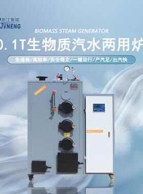 100公斤生物质环保颗粒蒸汽发生器凉皮面粉包子加工锅炉