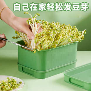 育苗盘种植发芽盆大容量家用豆芽机发豆芽专用盆神器生黄绿豆芽罐