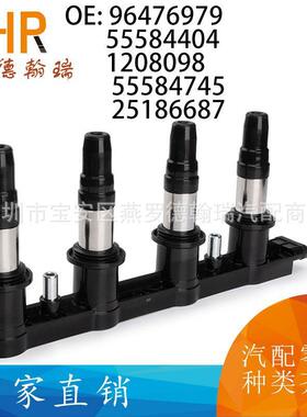 96476979 55584404 1208098 55584745 25186687 点火线圈