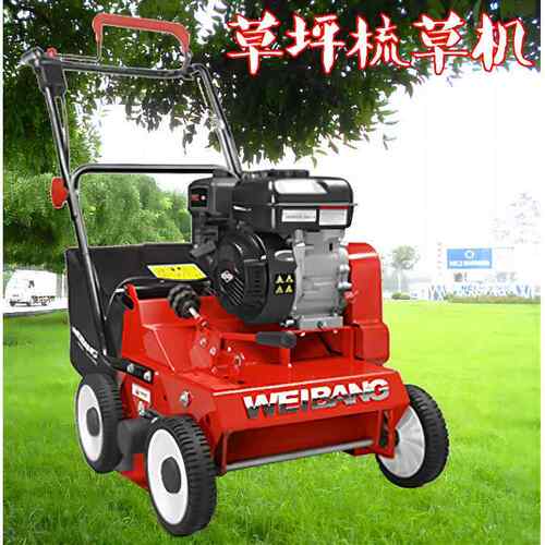 维邦WB384RB自走式草坪梳草机 园林养护草坪透气梳草机 园林工具