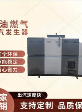 1吨-10吨生物质链条多用燃料环保节能生物质颗粒蒸汽锅炉