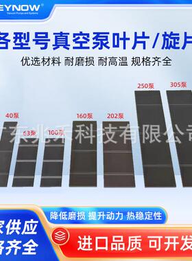 莱诺 单极旋片式真空泵叶片lv0020 lv100 lv 202 lv 0305