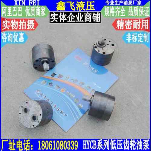 CB-CB1-B2.5B.HYCB低-BB压齿轮油泵润滑泵B抽油泵循环泵