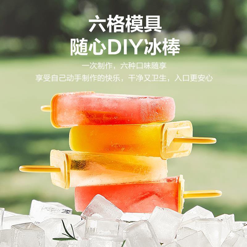 家用食品级小型冰箱冰块模具冰棒冰棍冰淇淋冷饮冰箱自制冰糕盒