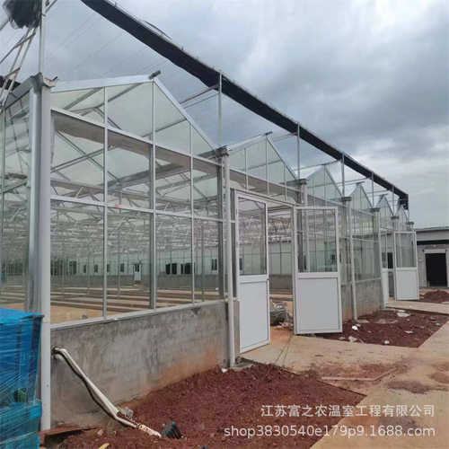 连栋温室大棚厂家供应 农业蔬菜温室大棚 花卉育苗用玻璃温室
