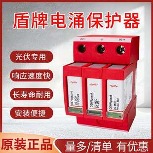 SCI 德国DEHN盾牌SPD浪涌保护器DG YPV FM防雷电涌保护器 1000