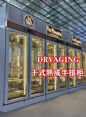 dryaged干式熟成柜牛肉老化机恒温恒湿牛肉排酸熟成冷柜牛排保鲜