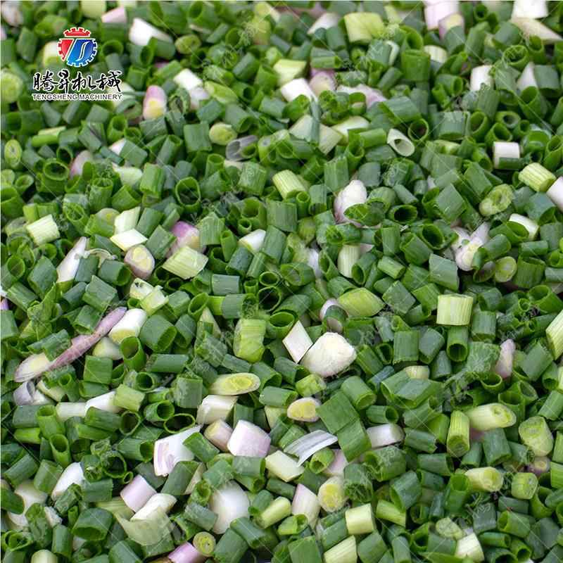 ZNL台湾切菜机机 商菜用豆角切段 大头切丝切片切丁机 头双切菜机