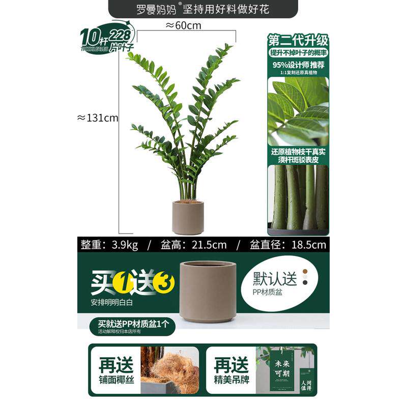 仿真高端旁落观盆栽奢轻物景叶金钱绿假植室内地沙发植
