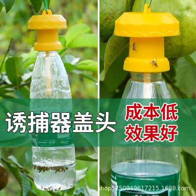Wholesale fruit fly trap caps, to be used with fruit fly att