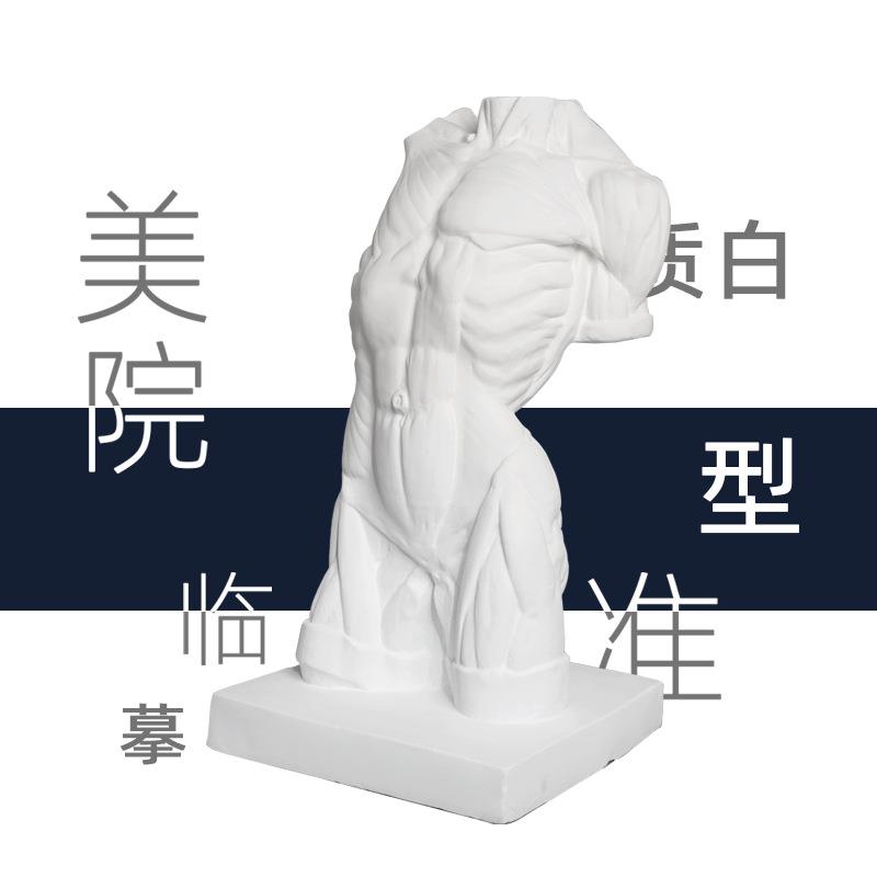 男躯干石膏胸像90cm写生素描绘画临摹雕塑美术石膏体摆件静物教具