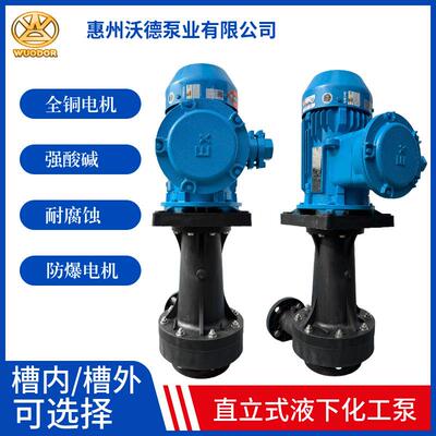 供应直立式耐腐蚀化工泵WKD-65SK-55VF-EX防爆液下脱硫泵