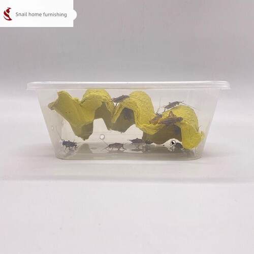 yee红虫冰冻鱼食牛心赤红线虫水蚤丰年虾罗