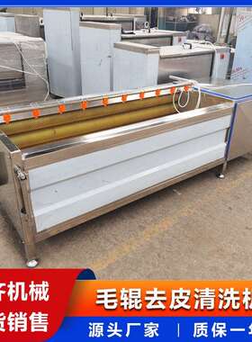 供应中药材自动清洗机辣根莴苣去泥清洗机食堂冬瓜南瓜去皮机
