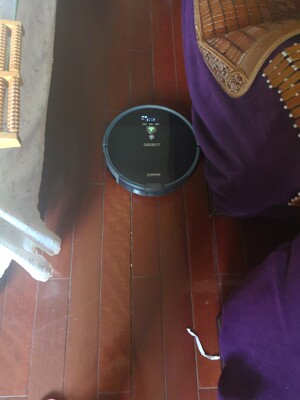 海尔TAB-T360与科沃斯DF45扫地机器人哪个口碑好，评测揭秘真相