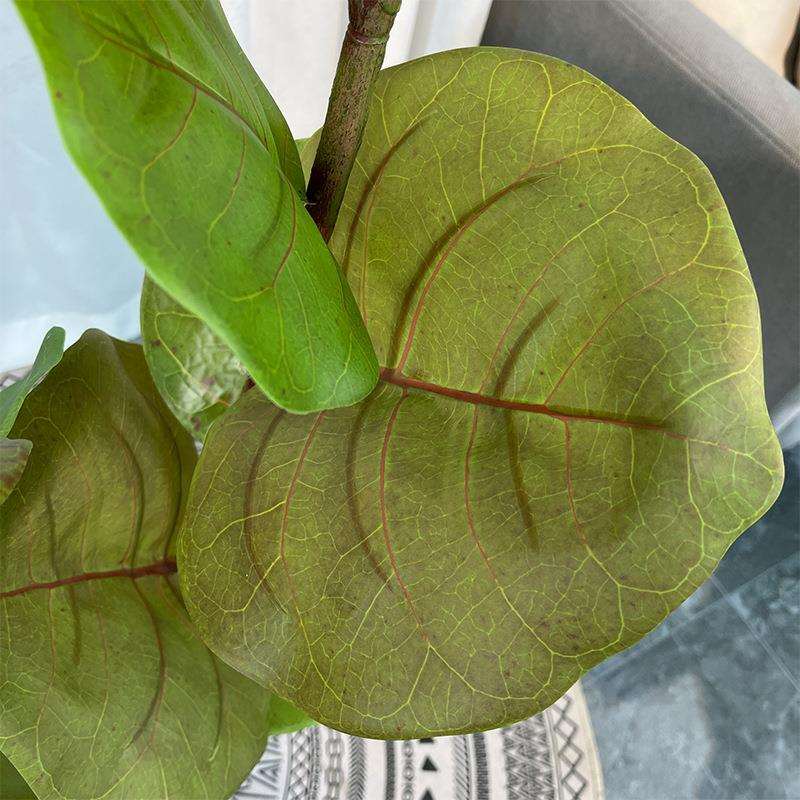 北欧大型仿真绿植海葡萄假植物盆栽室内客厅家居落地装饰造景摆件